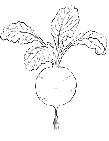 Red Radish Coloring Page